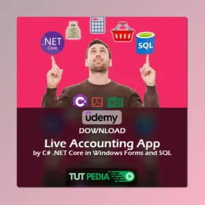 Live Accounting App by C# .NET Core in Windows Forms and SQL Course