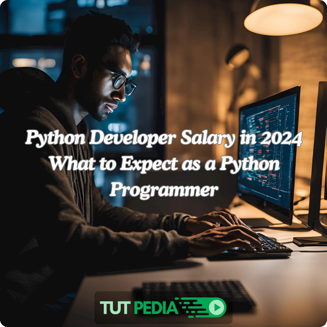 Python Developer Salary in 2024