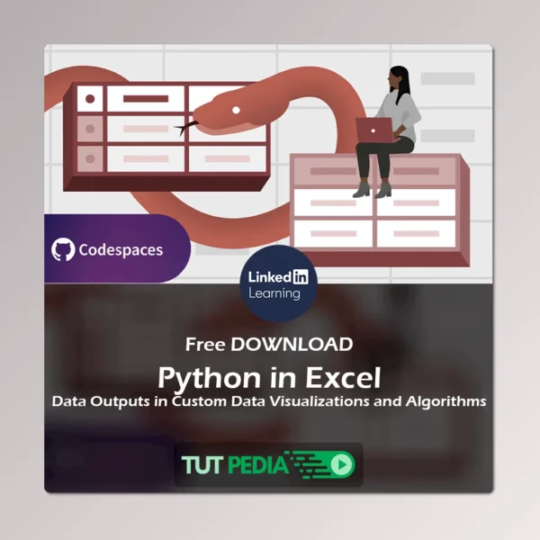 Python in Excel: Data Outputs in Custom Data Visualizations and Algorithms Course